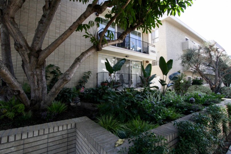 The landscaping seen around the Midvale Plaza in Westwood