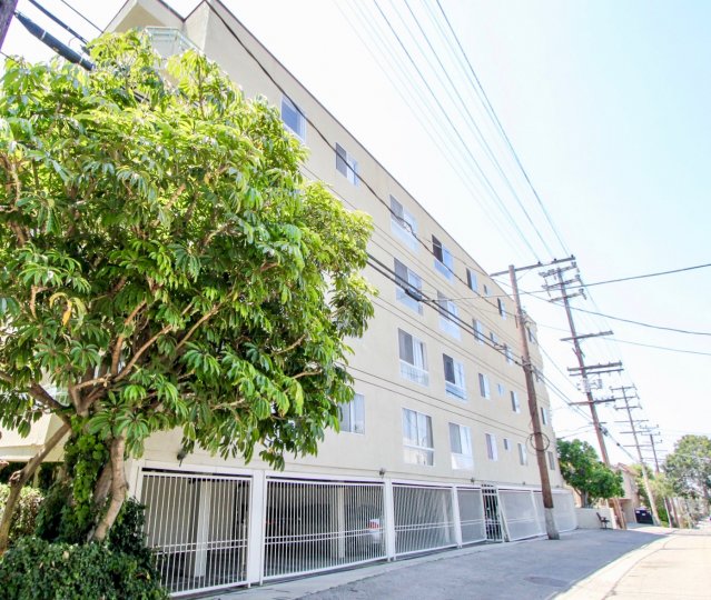 A whitish building with a tree and electric posts on its side in The Standard.