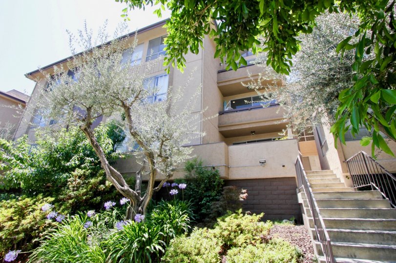 Classy entrance with beautiful flowers of The Westwoodian, Westwood, California