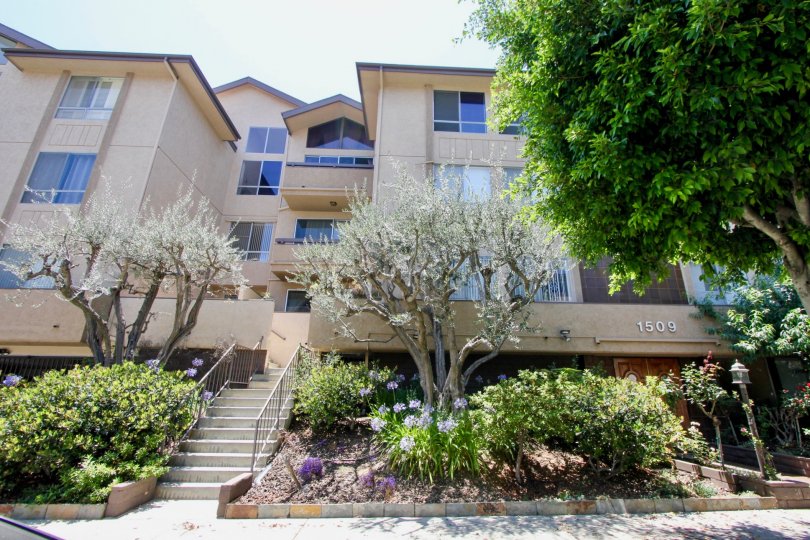 A lovely view of the Westwoodian, a residential building with a southwest feel and a garden with a wide variety of plant life.