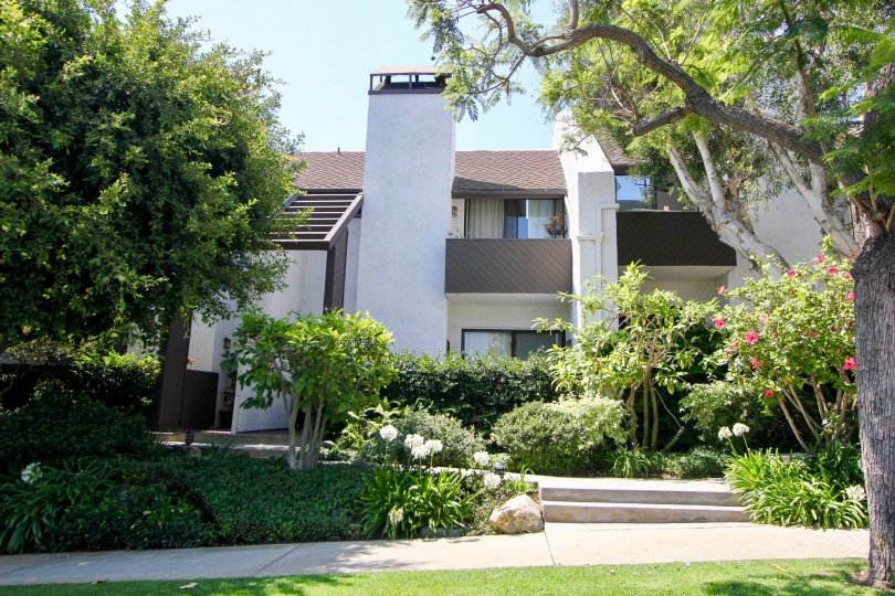 A sunny day the Village Townhouse is very beautiful in front of the house beautiful plants and flowers are present