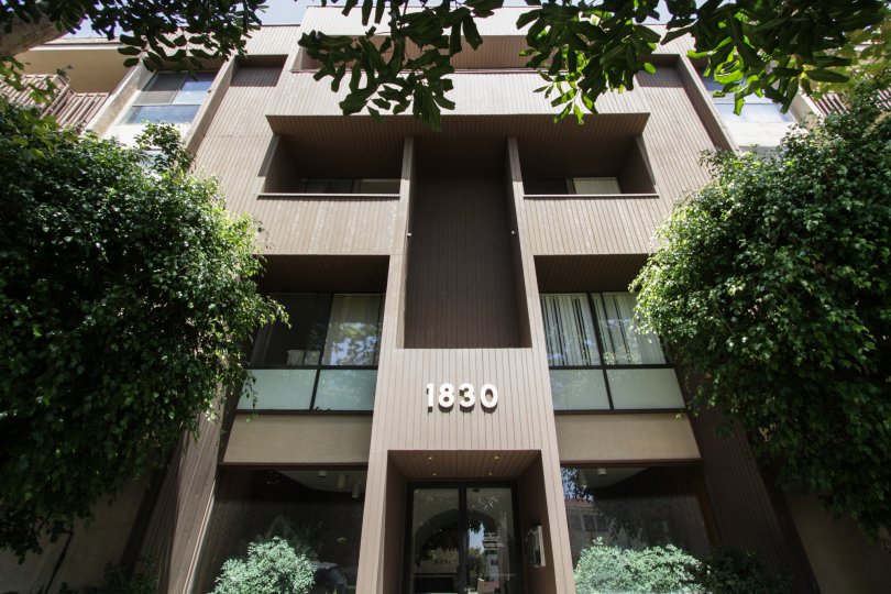 The address for Westholme Executive