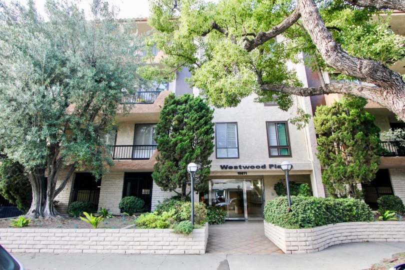 Great apartment living in tree lined Westwood Place