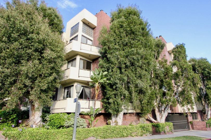 a building with a lot of trees in Westwood Terrace
