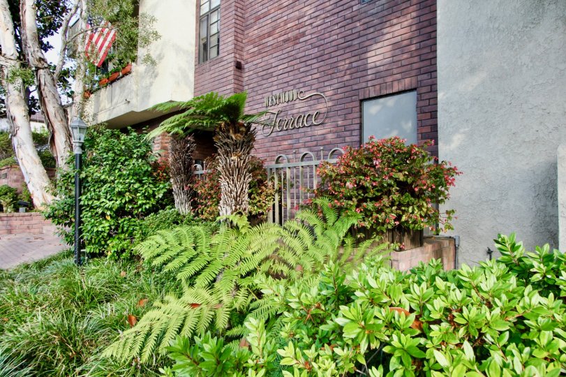 Outside view of Westwood Terrace, and her beautiful flowers, Westwood, California