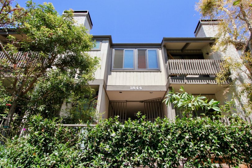 A beautiful and stately home surrounded by greenery in Woodvale Village, Westwood, California