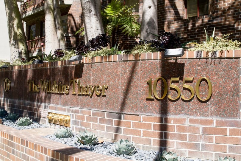 The landscaping at the Wilshire Lencrest in Westwood