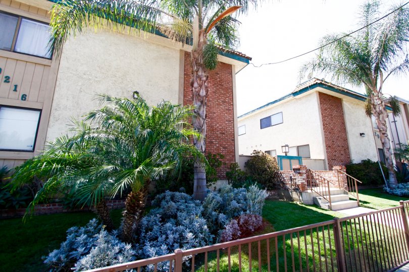 The landscaping around Roscoe Gardens