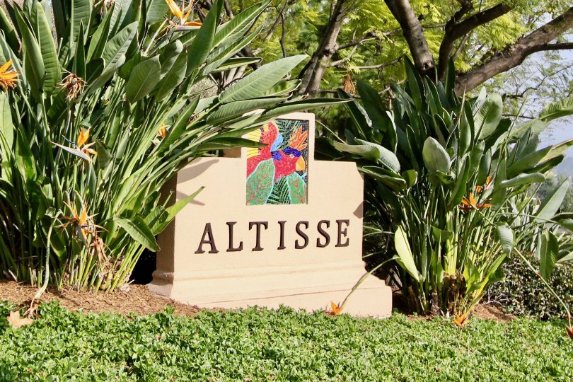 amazing homes at Altisse in Aliso Viejo, California