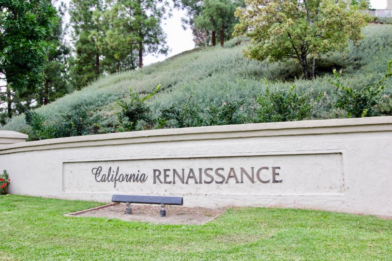 beautiful homes at California Renaissance in Aliso Viejo, California