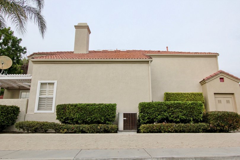 A sunny day in the California Renaissance with a small house and plants.