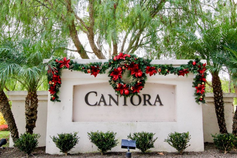 Fantastic Cantora In Aliso Viejo California Country