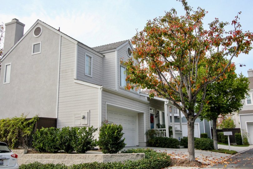 Beautiful Cape Series In Aliso Viejo California Country