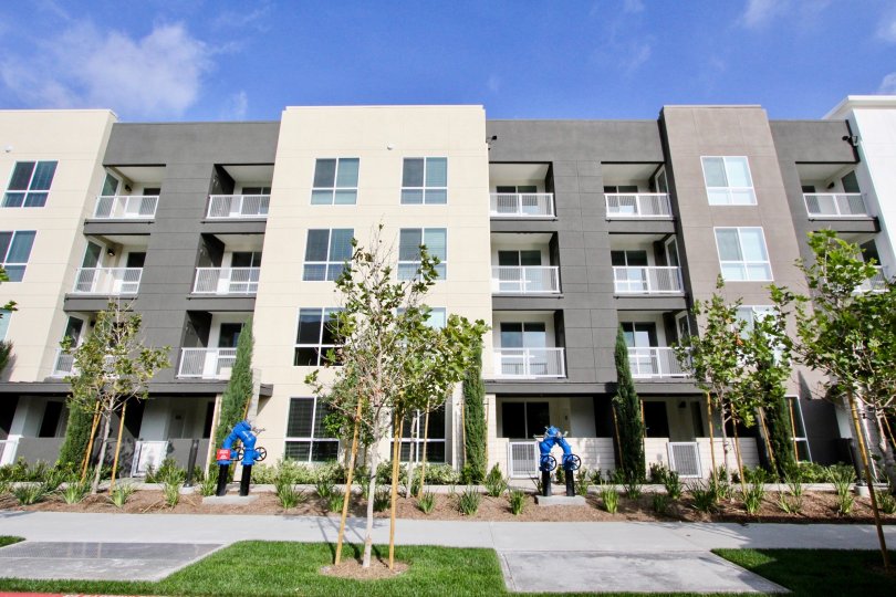 Modern looking apartment style condos with new trees and large sidewalk at City Walk
