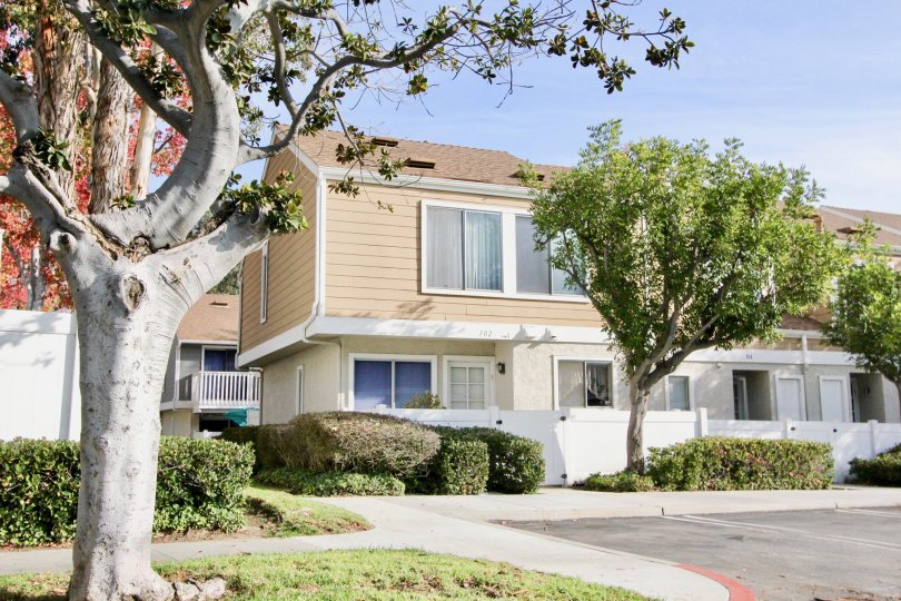 Sunny sky with Trees and bushes and apartments in the Morningside Community in Aliso Viejo, CA.