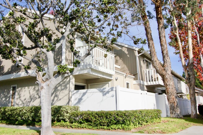 A sweet wight color building in the Morningside with some shrubs and tree.