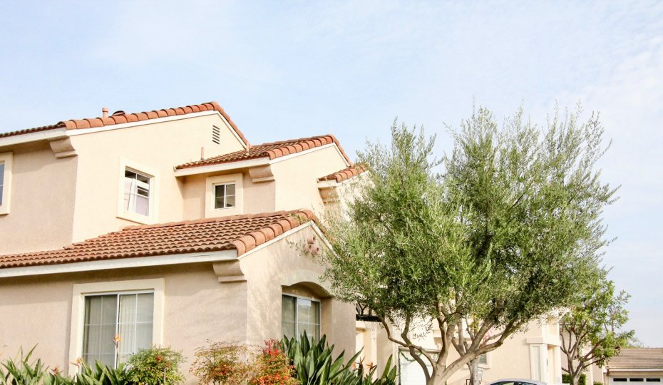 a warm day in the san simeon with house that has tree at front and roofless top
