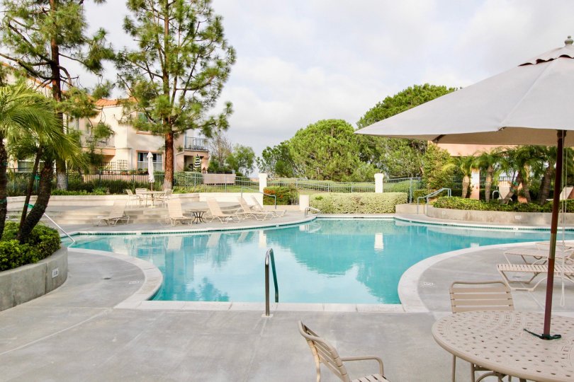 Large swimming pool with ample deck space and unobstructed views with privacy trees at Seacove Villas