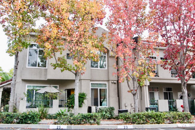 a warm day in the seagate colony with building that has front of tree in flowers