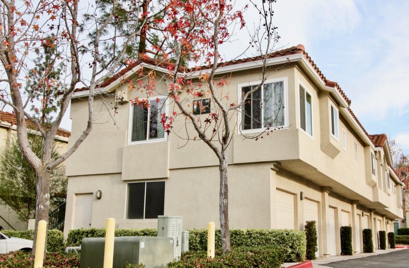 Beautiful Seagate Colony In Aliso Viejo California Country