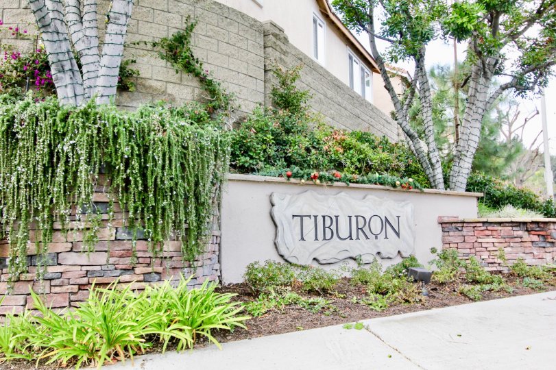 Come enjoy the gardens of green in your new Tiburon home