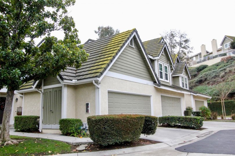 Beautiful houses with sloped roof and green surroundings on Anaheim Hills, California