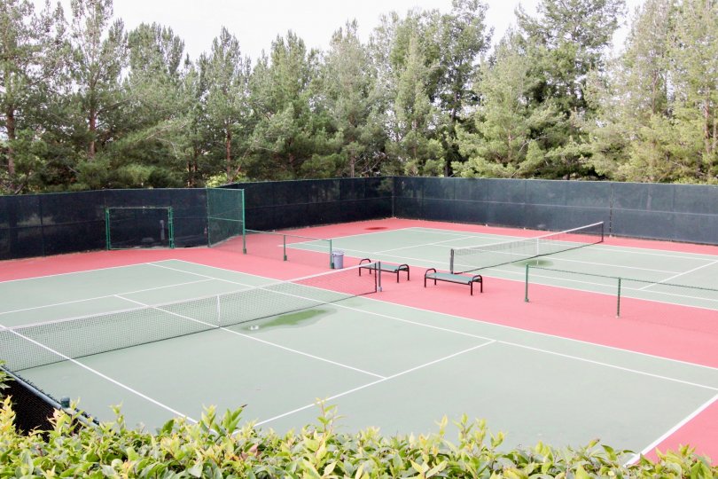 Tall green trees surrouds Monaco tennis court, Anaheim HIlls, CA