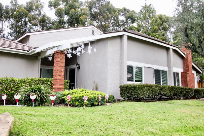 THE HOUSE IN THE PARKVIEW TOWNHOMES WITH THE GRASSLAND, TREES, PLANTS