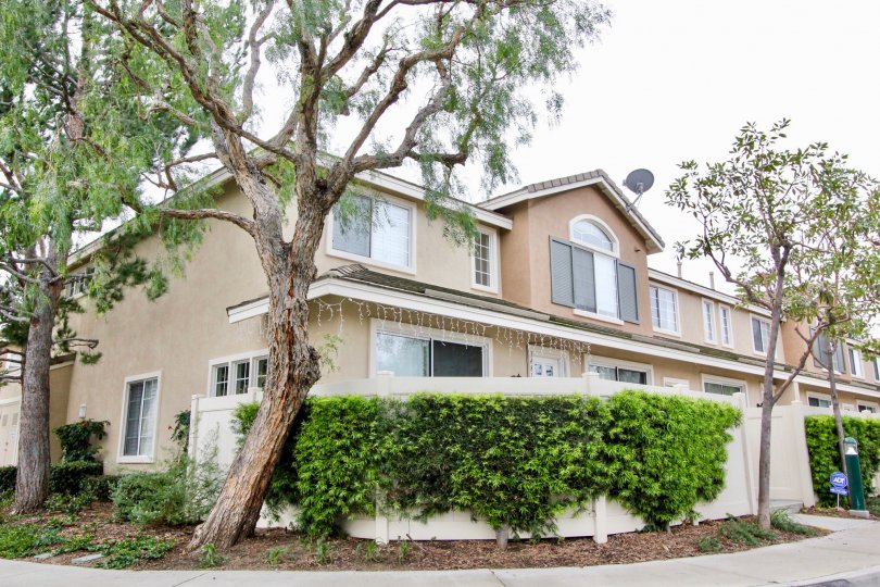 THE HOUSE IN THE SUMMIT PARK WITH THE DISH ANTENNA, PLANTS, TREES