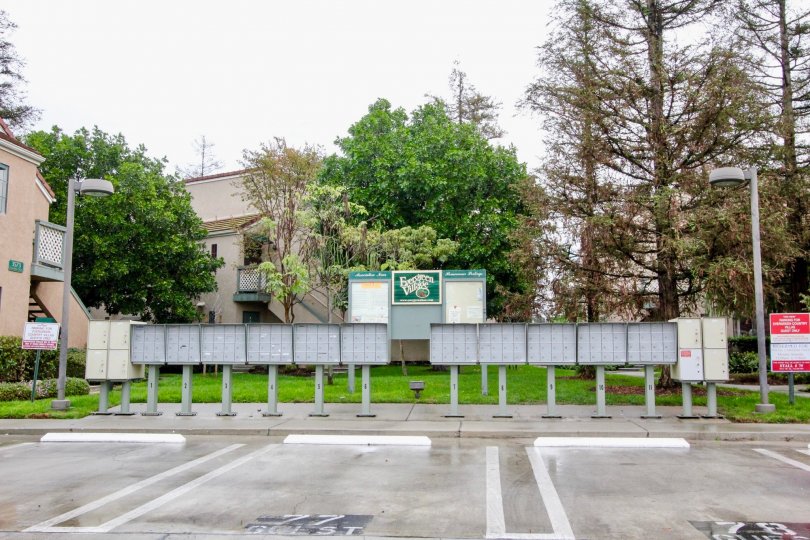 A court in the Evergreen Village surrounded by trees.