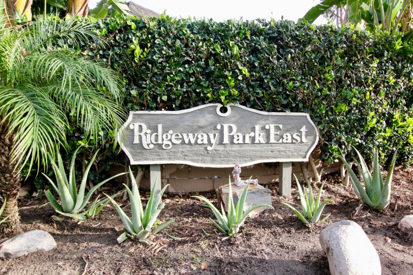 A WARM DAY IN THE Ridgeway Park East WITH A PARK THAT HAS FIVE ALOVERA PLANT IN THE FRONT