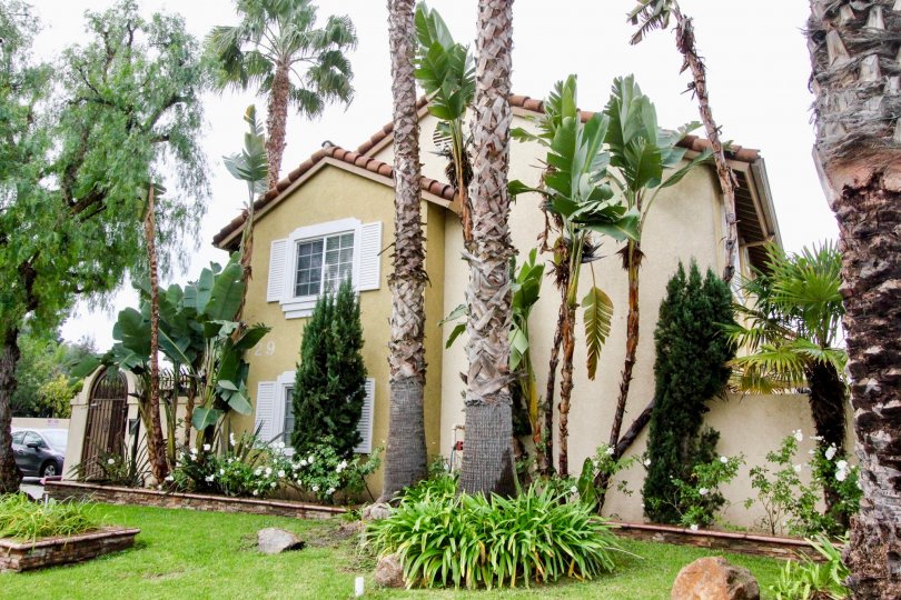 a pleasant day in the Spring Lake Court with a house that has roof less top and garden around