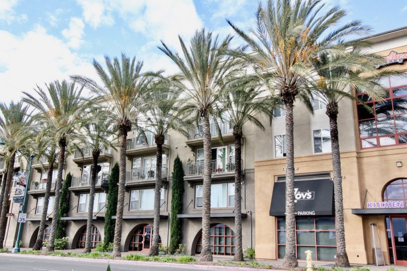 THE HOTEL WHICH IS IN STADIUM LOFTS, THAT HAVE MANY WINDOWS, MANY TREES AND NAME BOARD