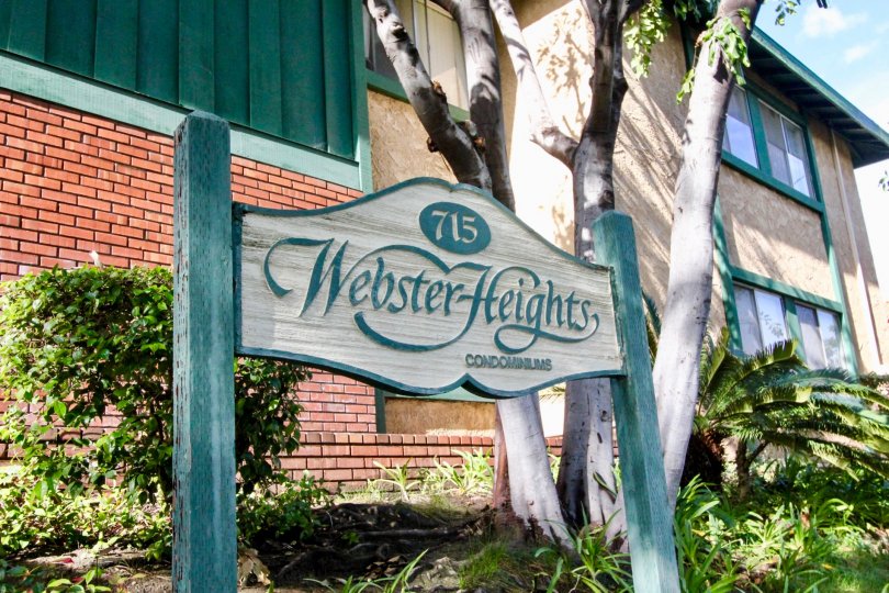 THE FLAT IN THE WEBSTER HEIGHTS WITH THE 715 WEBSTER HEIGHTS CONDOMINIUMS BOARD, PLANTS, TREES