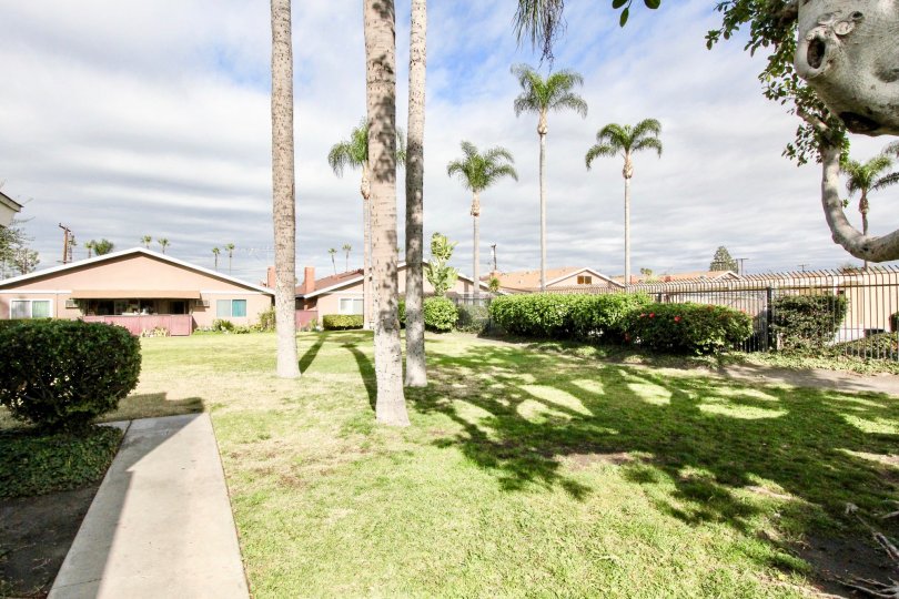 THE HOUSE IN THE WESTWOOD VILLAGE WITH THE GRASSLAND, TREES, PLANTS