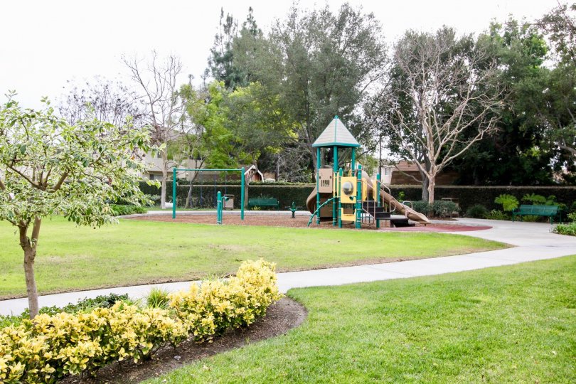 A great day in the College Park with with children's playground