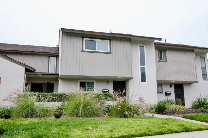 THE 5480 FLAT IN THE SUMMERTREE WITH THE PLANTS, LAWN