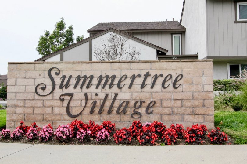 A cool day in the Summertree with a sign on the wall.