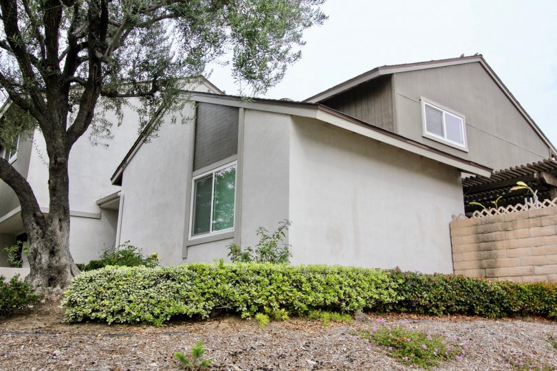 a rainy day in the summer tree with a building that has glass windows and stone walls and garden around