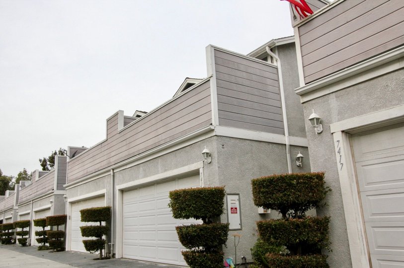 THE 7417 APARTMENT IN THE WESTERN BAY ESTATES WITH THE SHUTTERS, PLANTS