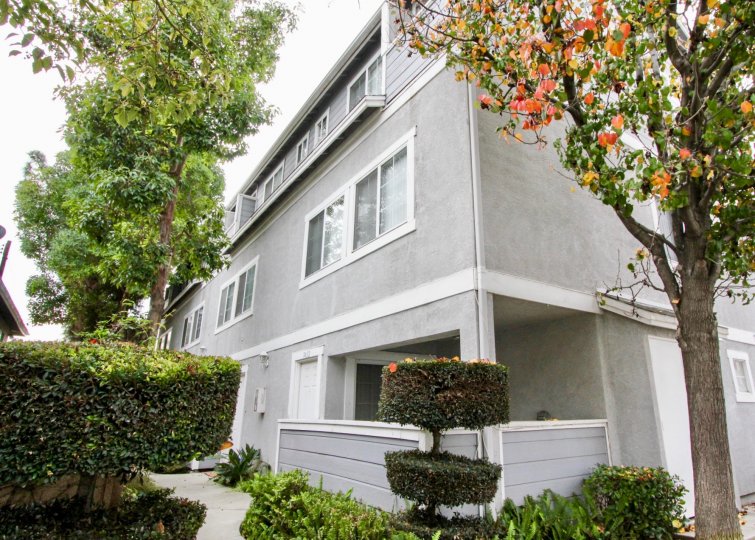 THE SIDEVIEW OF THE VILLAS WITH CROTON PLANTS, TREES ARE LOCATED IN BUENA PARK