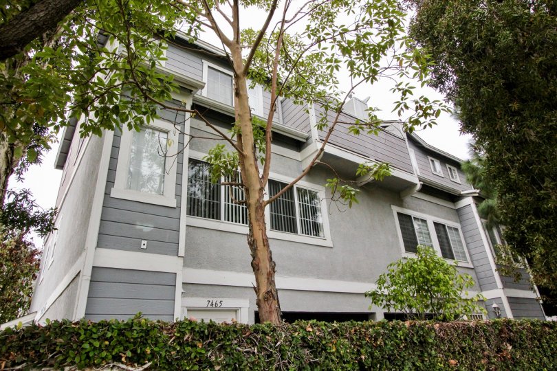 THE 7465 APARTMENT IN THE WESTER BAY ESTATES WITH THE PLANTS, TREES