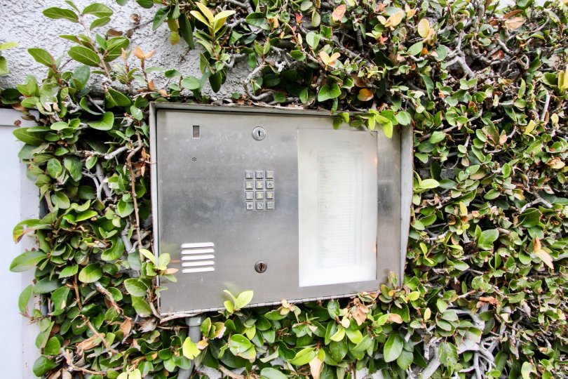 Security phone box is placed between the bushes attached to the wall in Western Bay Estates