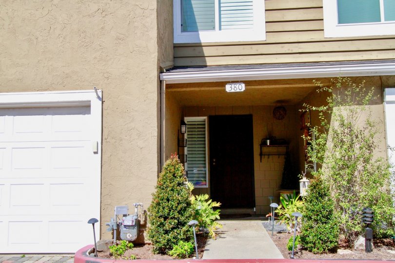 Back Bay Village Sunrise door to a home with windows and plants.