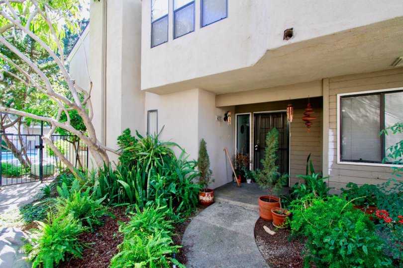 Brighton Springs apartment door with plants and trees