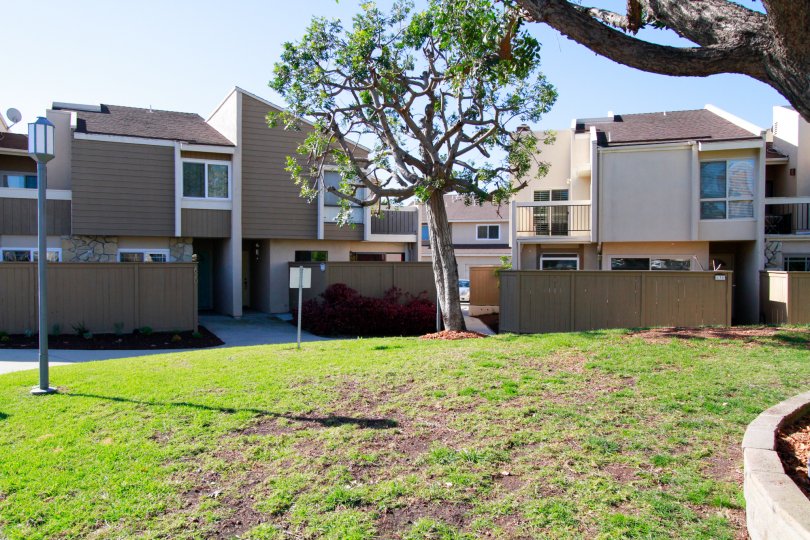 Brookview Costa Mesa California building bown color paint near tree and grasses