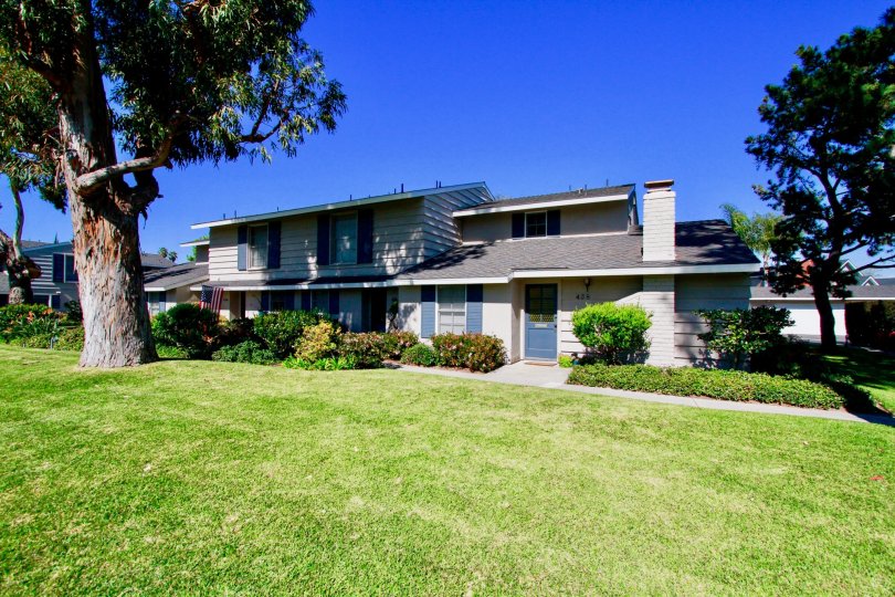 Cape Series two story homes with trees and bushes on a sunny day.