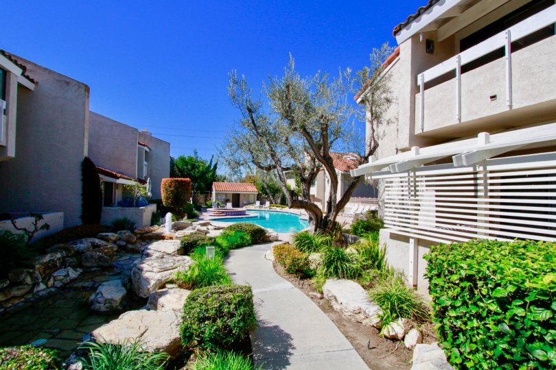 Launched in 2001, Affordable Housing Online is the first online directory created to help low income renters find affordable housing. Anticipating that the affordable housing industry would gradually gravitate towards competitive online marketing similar 