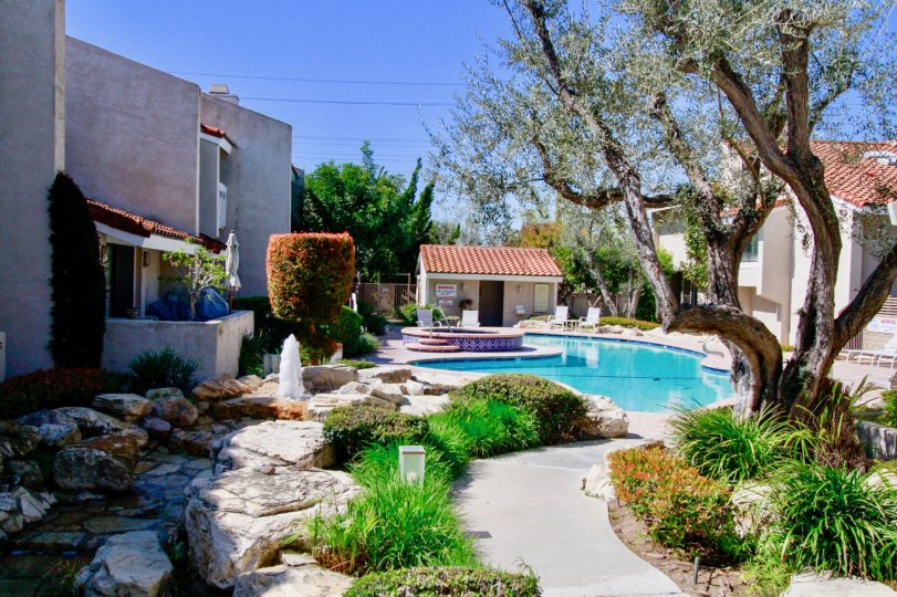 Fairview Village Costa Mesa California forest like appearance with stones and raw plants at floor