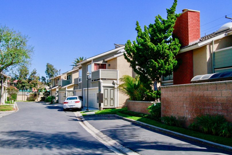 Laurel Point street with apartment buildings and a car on a sunny day.